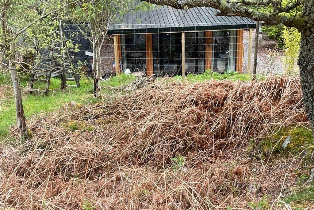 Coorie Doon Cabin! Great Scottish Welcome Fort Augustus Exterior photo