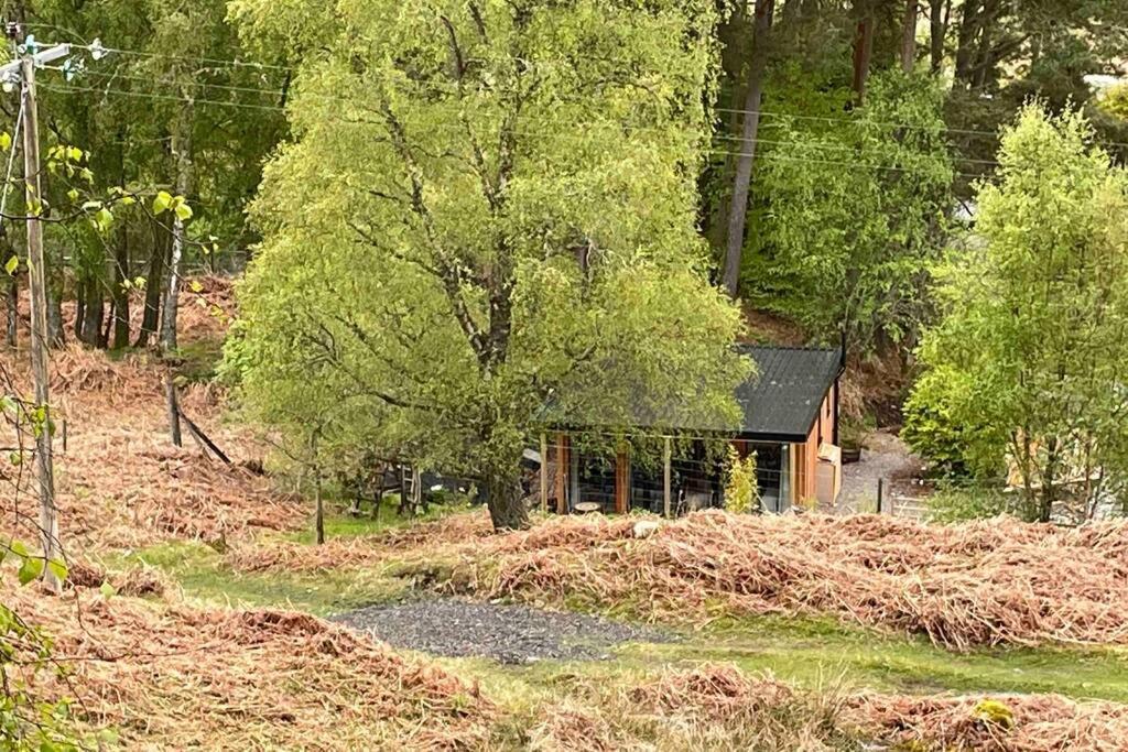 Coorie Doon Cabin! Great Scottish Welcome Fort Augustus Exterior photo